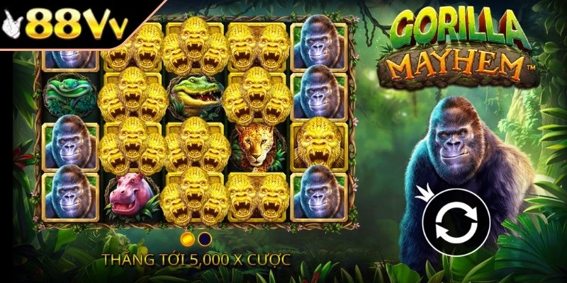 Tổng quan về Gorilla Mayhem 88VV
