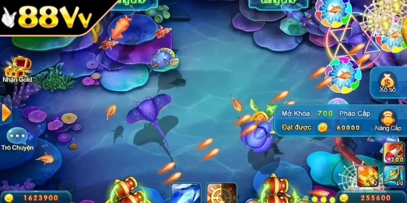 Những điểm nổi bật