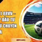 tỷ lệ 2 in 1 88VV